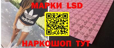 гашик Будённовск
