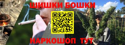 гашик Будённовск
