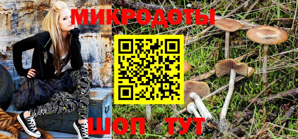 Галлюциногенные грибы Psilocybine cubensis Сергиев Посад