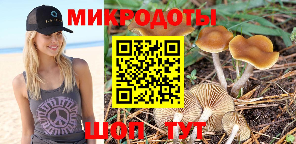 Сергиев Посад  Псилоцибиновые грибы Cubensis  Вход с VPN  Галлюциногенные грибы прущие грибы 